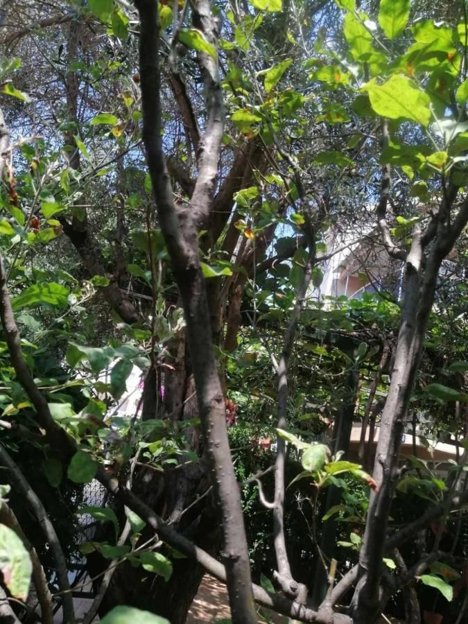 Шале Holiday Apartment Budva with garden Будва