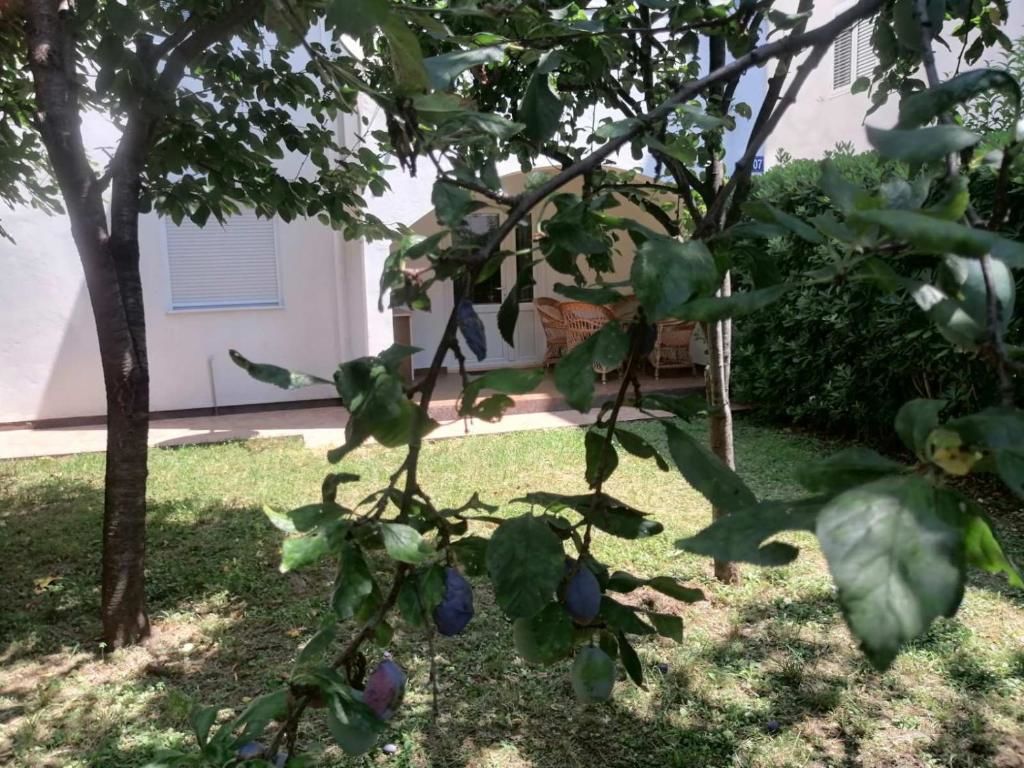 Шале Holiday Apartment Budva with garden Будва