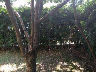 Шале Holiday Apartment Budva with garden Будва Шале с 3 спальнями-16