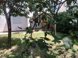 Шале Holiday Apartment Budva with garden Будва Шале с 3 спальнями-47