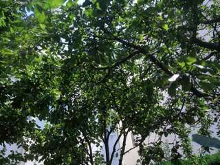 Шале Holiday Apartment Budva with garden Будва Шале с 3 спальнями-77