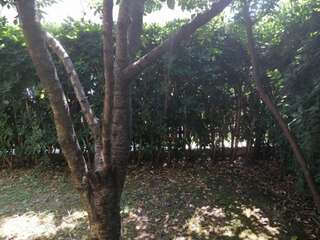 Шале Holiday Apartment Budva with garden Будва Шале с 3 спальнями-78