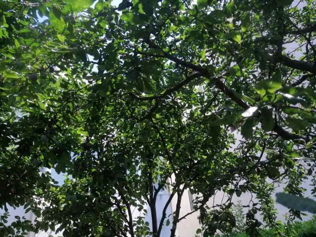 Шале Holiday Apartment Budva with garden Будва-19