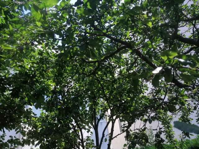 Шале Holiday Apartment Budva with garden Будва-79