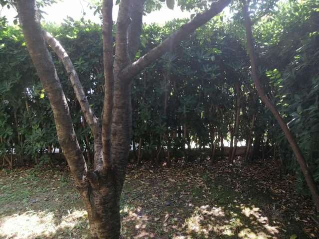 Шале Holiday Apartment Budva with garden Будва-80